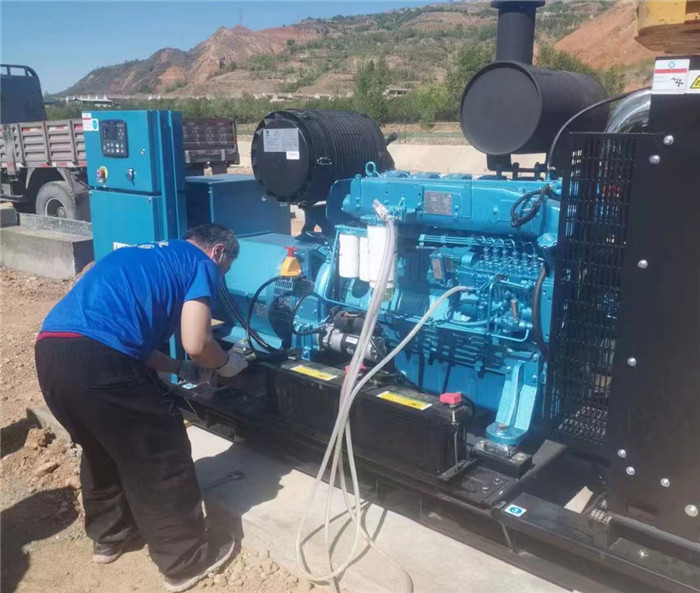 濰柴電(dian)子原裝機(ji)組WPG275/B8