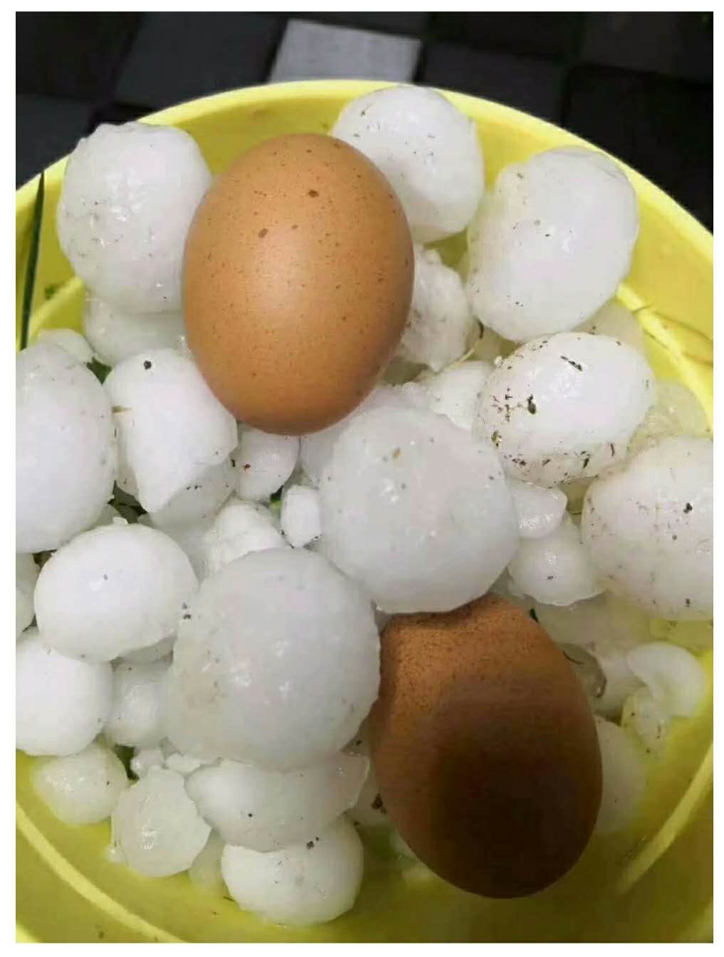 甘肅發(fā)生冰雹災害