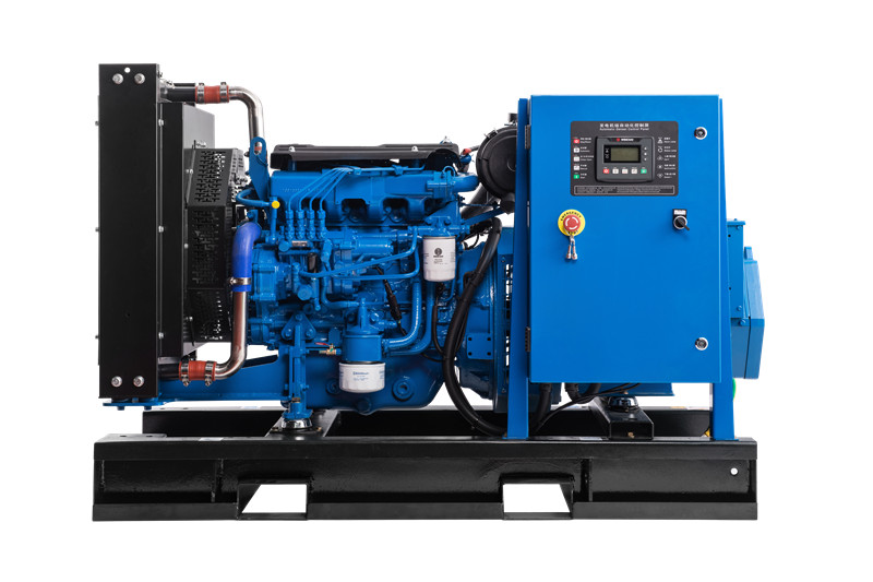 濰柴(chai)動力發電機(jī)