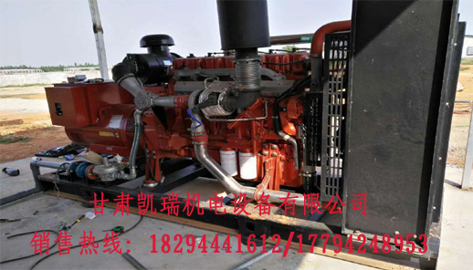 蘭州(zhou)玉柴柴油發電(diàn)機組廠家