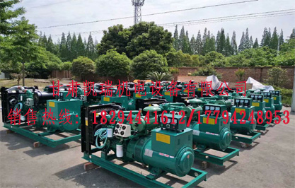 蘭州康(kang)明斯發電機組(zǔ)價格