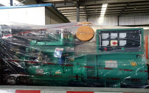 甘肅發(fā)電機性能(neng)